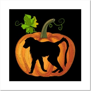 Monkey in pumpkin Posters and Art